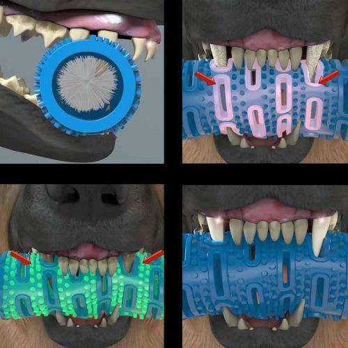 chew-brush-botopro-3 Chew Brush , de Botopro, cuida de la salud dental de sus mascotas