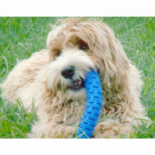 chew-brush-botopro-4 Chew Brush , de Botopro, cuida de la salud dental de sus mascotas